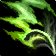 Hulking Claw